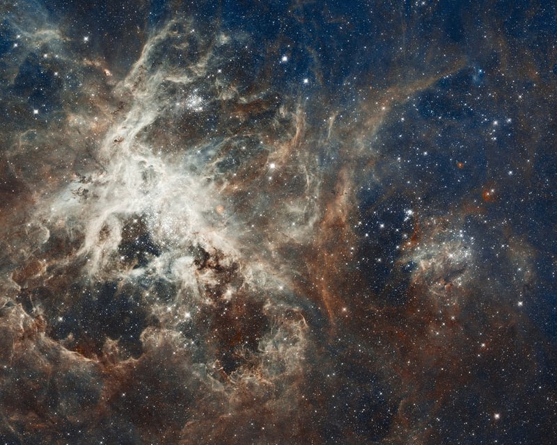 Diverse Universe